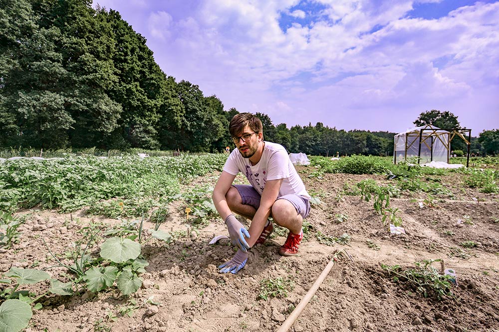 Pottleben - Blogger Julius jätet Unkraut auf seinem Feld