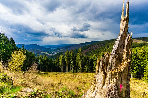 Wandern im Sauerland